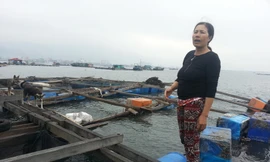 Chị Ngô Thị Hằng bên những bè nuôi cá bán dịp Tết giờ chống trơn.