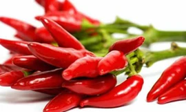 Nhắm mắt ăn ớt để nồng nàn chuyện phòng the