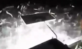 Cách bắt cá độc đáo của ngư dân