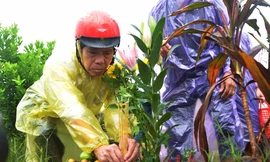 Nước mưa hòa lẫn nước mắt bên ngôi mộ chị Huyền