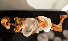 Xác ướp "công chúa" vùng Siberia