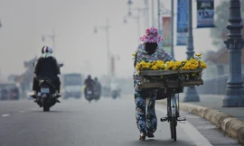 Chở mùa xuân đi