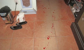 Hiện trường vụ nổ bưu phẩm.