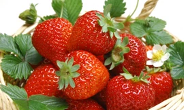 10 thực phẩm giúp xoa dịu cơn đau hữu hiệu hơn thuốc