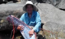 Xẻ thịt “thủy quái” 4,2m giống rồng 