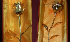 Những bông hồng mạ vàng thật có giá từ 3 triệu đến 6 triệu đồng một bông.