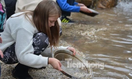 Tới Sovereign Hill, ngược dòng ký ức của cơn sốt vàng