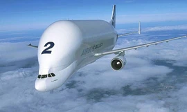 Beluga có thiết kế giống cá voi trắng Bắc cực.