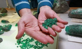 Ảnh minh họa. (Nguồn: askural.com).