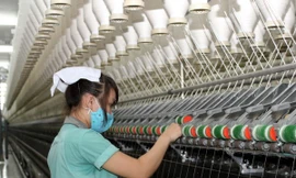 (Ảnh minh họa: Quách Lắm/TTXVN)