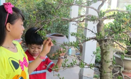 Dự thi ảnh: Bà Rịa - Vũng Tàu vào xuân