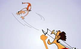 Những người Hà Lan… rơi