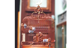 Những chiếc lồng 'khủng'