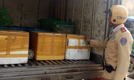 Số nội tạng thối được Đội CSGT số 4 phát hiện