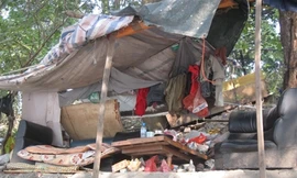 Clip: Sống như 'người rừng' giữa Thủ đô