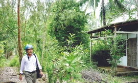 PV báo Tiền Phong tìm về làng quê các cô gái đẻ thuê