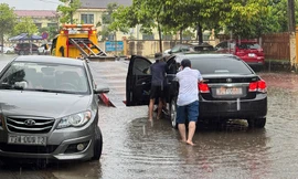 Quảng Bình: Đường phố biến thành 'sông', đồng lúa đổ rạp do mưa lớn