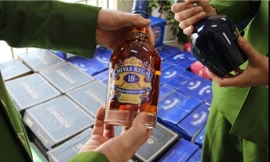 Thu giữ gần 1000 chai rượu ngoại lậu ngụy trang trong vỏ hộp trái cây