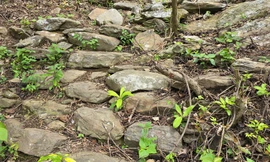 Phát hiện con đường Thiên Lý vắt qua dãy Hoành Sơn