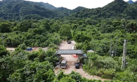 Hoang phế một dự án 'bảo tàng ngoài trời'