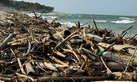 Hàng trăm hộp thuốc chống đột quỵ lẫn trong rác dạt vào bờ biển Quảng Bình 