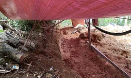 Mỏ vàng có trữ lượng trên 8 tấn bị khai thác trộm