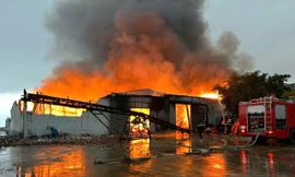 Lửa thiêu rụi xưởng sản xuất bột cá, thiệt hại cả trăm tỉ đồng