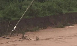 Bị điện giật nguy kịch vì đi qua cột điện gãy đổ