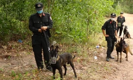 Huy động hơn 300 cảnh sát truy tìm nghi can sát hại mẹ vợ ở Quảng Bình