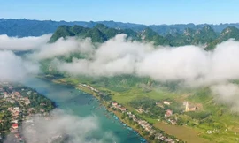 Vườn quốc gia Phong Nha - Kẻ Bàng đang chồng lấn hơn 1,2 triệu m2 đất