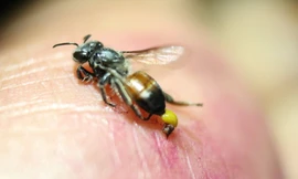 Ảnh minh họa: Internet