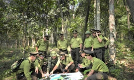 Quảng Bình lập Trung tâm Bảo vệ rừng và di sản thế giới 