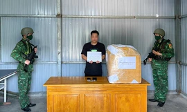 Bắt giữ 12kg cần sa khô tuồn từ nước ngoài vào Việt Nam 