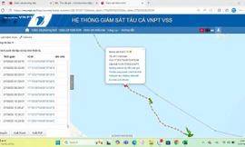Một ngư dân Quảng Bình rơi xuống biển khi trên đường vào bờ 