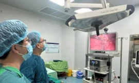 Người đàn ông đang cắt cỏ bị viên đá bắn thủng bụng