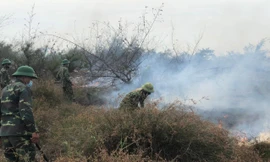 Lực lượng bộ đội biên phòng làm các đường băng cản lửa nhằm khống chế các điểm cháy tránh bị lan rộng.