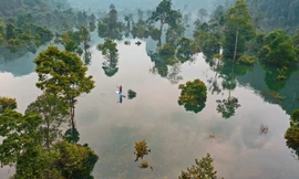 Phong Nha - Kẻ Bàng mong muốn trở thành Khu dự trữ sinh quyển thế giới 