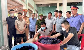 [CLIP] Vây bắt hai đối tượng mang súng áp tải lượng ma tuý ‘khủng’ từ Lào về Việt Nam 