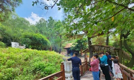 Hơn 10.000 người viếng mộ Đại tướng Võ Nguyên Giáp dịp 2/9