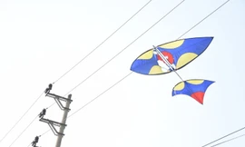 Gỡ diều vướng vào dây điện cao thế, bé trai bị điện giật bỏng nặng 