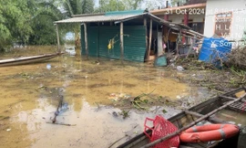 Xót xa 2 cháu bé sinh đôi đuối nước ở sân nhà 