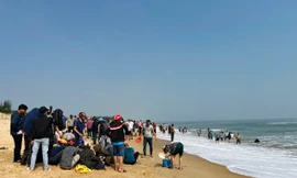 Đi dạo bờ biển nhặt 'lộc trời' lúc tinh mơ, thu tiền triệu mỗi ngày