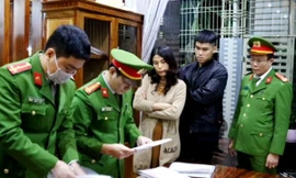 Bắt giữ nhóm phá rừng quy mô lớn