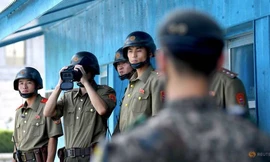 Ở khu phi quân sự giữa Triều Tiên và Hàn Quốc. (Ảnh: Reuters)
