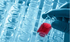 Mỹ bắt nghiên cứu sinh Trung Quốc giấu mẫu sinh học trong tất mang về nước