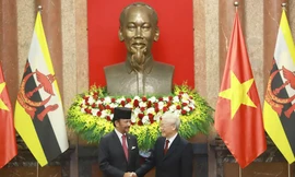 Tổng Bí thư, Chủ tịch nước Nguyễn Phú Trọng và Quốc vương Brunei Darussalam Haji Hassanal Bolkiah. (Ảnh: Như Ý)