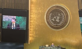 Đại diện Việt Nam phát biểu tại phiên họp của Đại hội đồng LHQ. (Ảnh: BNG)