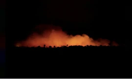 Nhiều vụ cháy rừng Amazon là do nông dân cố tình đốt để lấy đất. (Ảnh: Reuters)