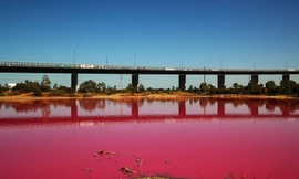 Kỳ lạ hồ nước hồng rực ở Úc