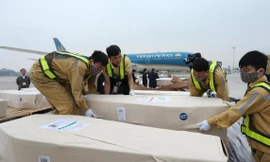 Các thi hài được đưa về sân bay Nội Bài. (Ảnh: BNG)